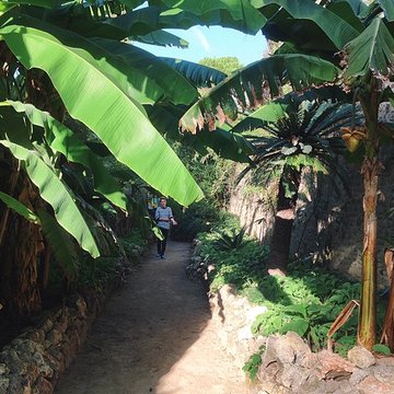 Jardin des plantes de Montpellier