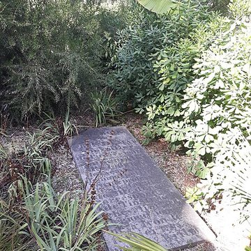 Jardin des plantes de Montpellier