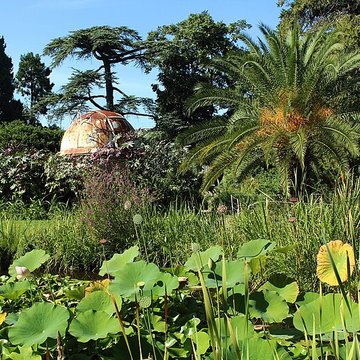Jardin des plantes de Montpellier