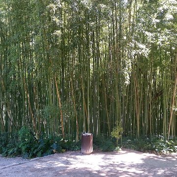 Jardin des plantes de Montpellier