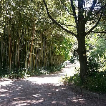 Jardin des plantes de Montpellier