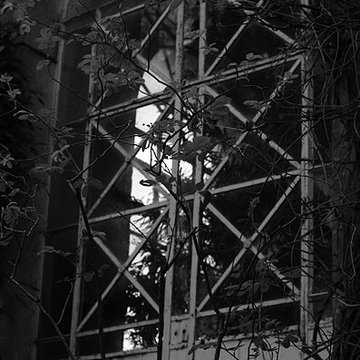 Jardin des plantes de Montpellier