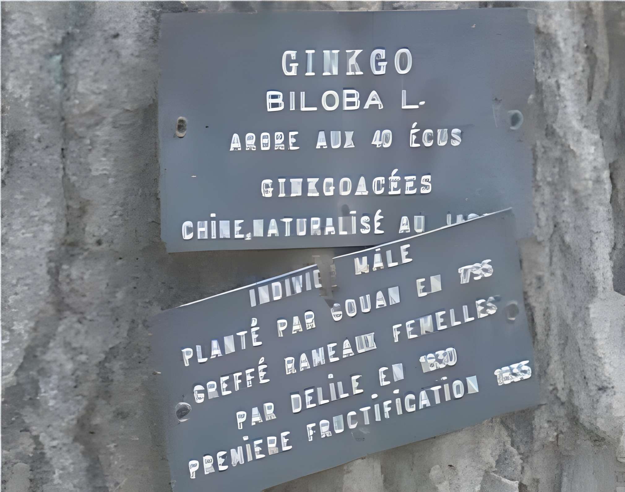 Jardin des plantes de Montpellier