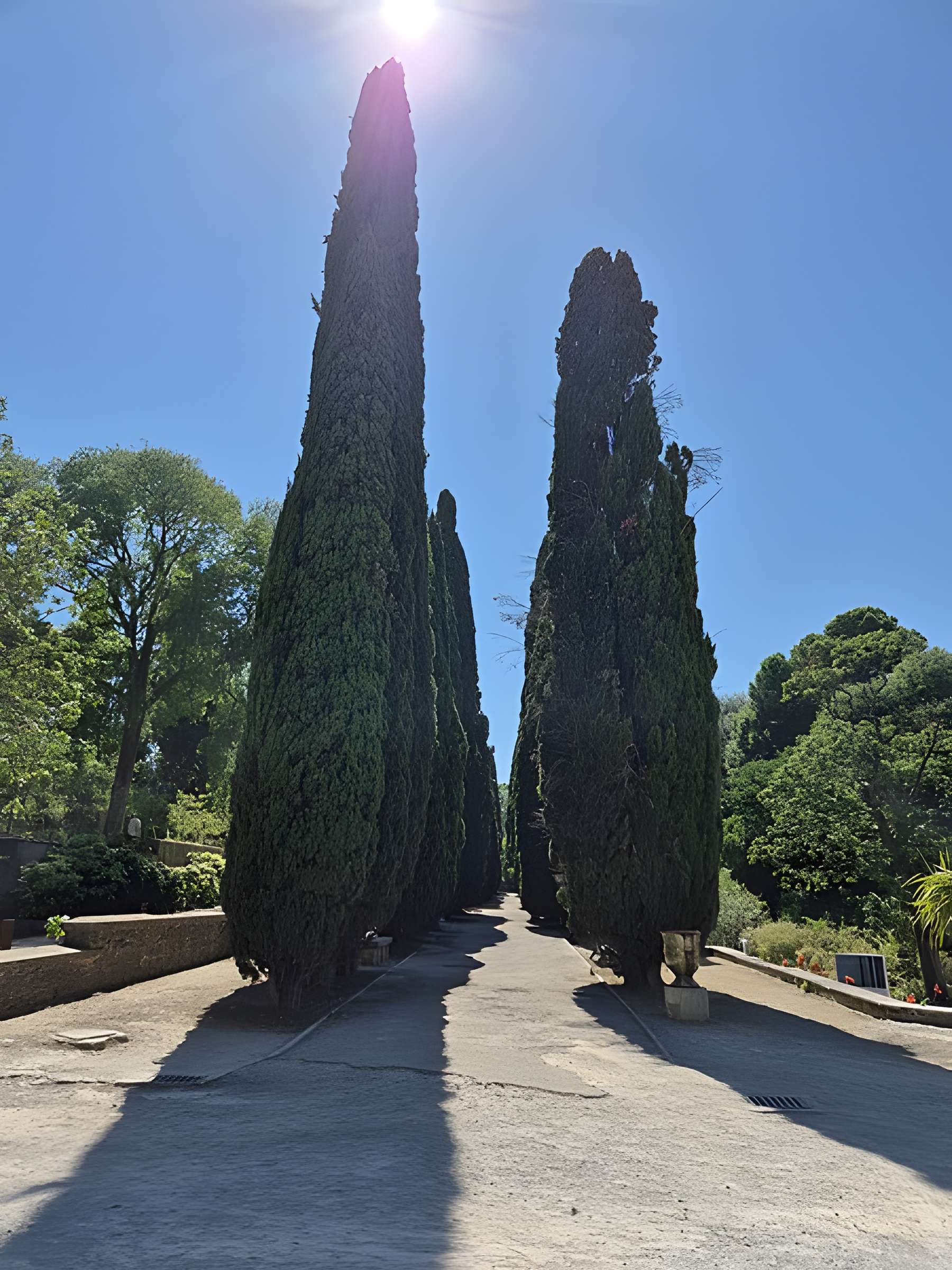 Jardin des plantes de Montpellier