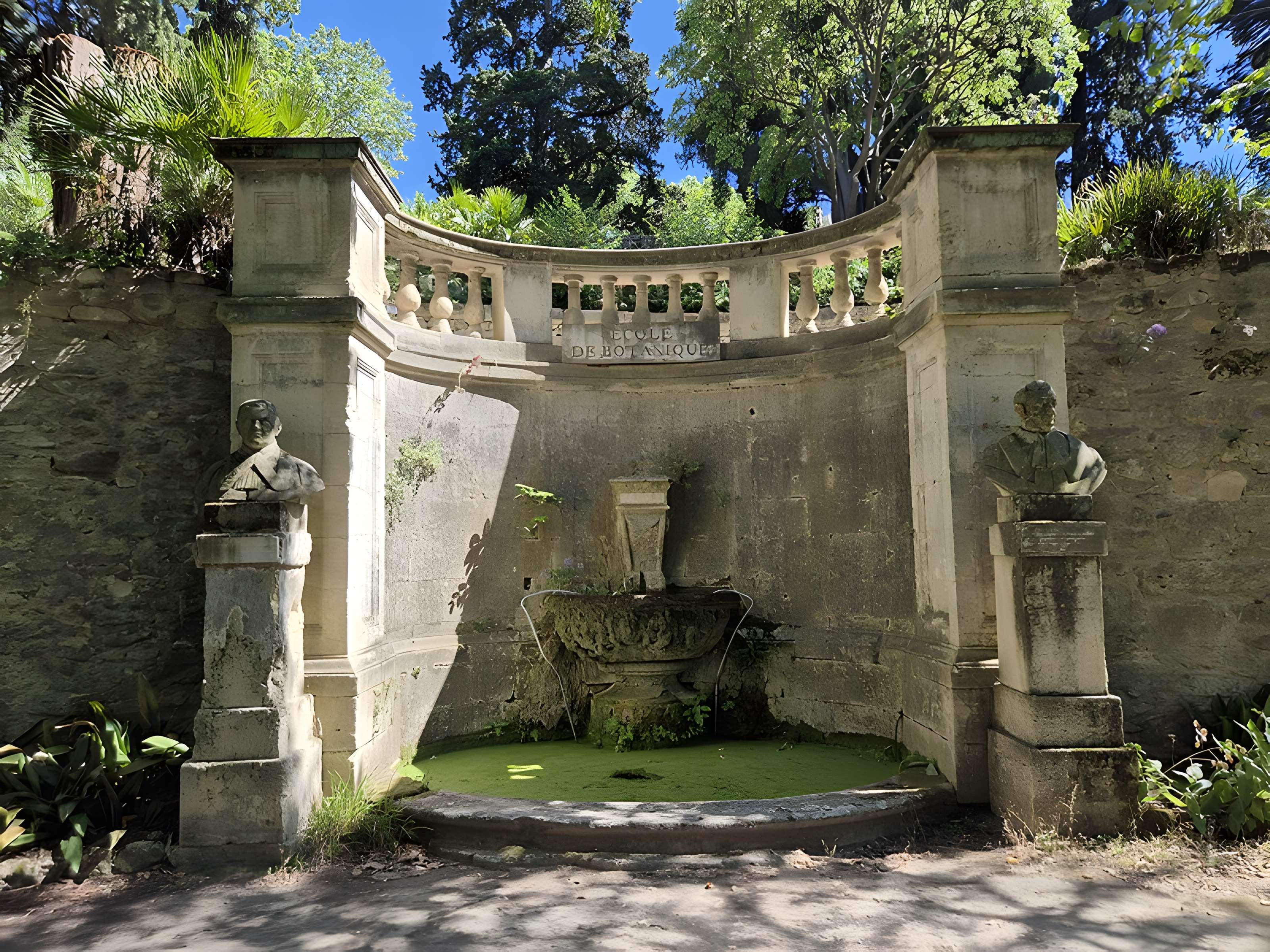 Jardin des plantes de Montpellier