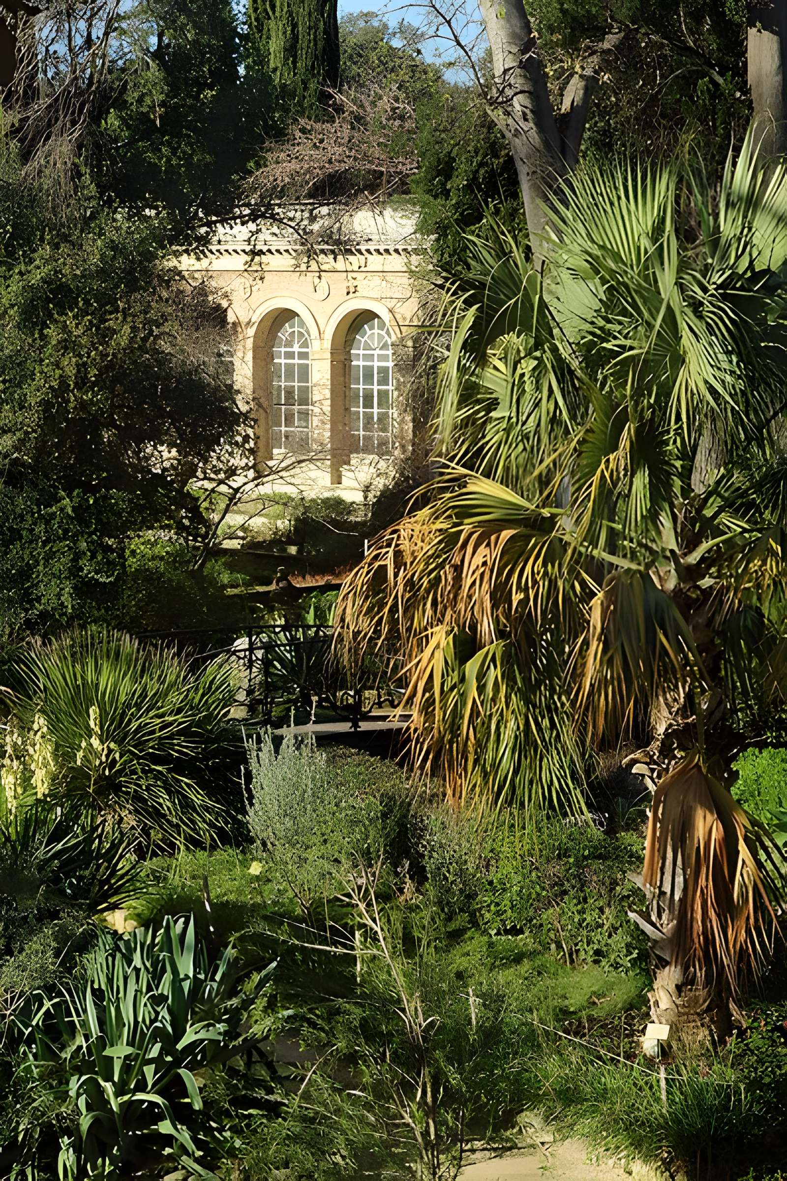 Jardin des plantes de Montpellier