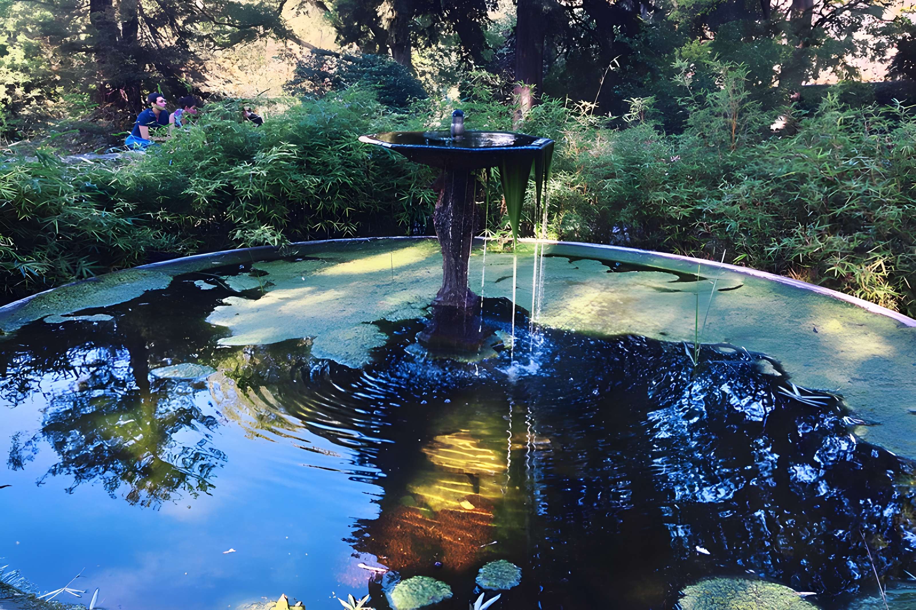Jardin des plantes de Montpellier
