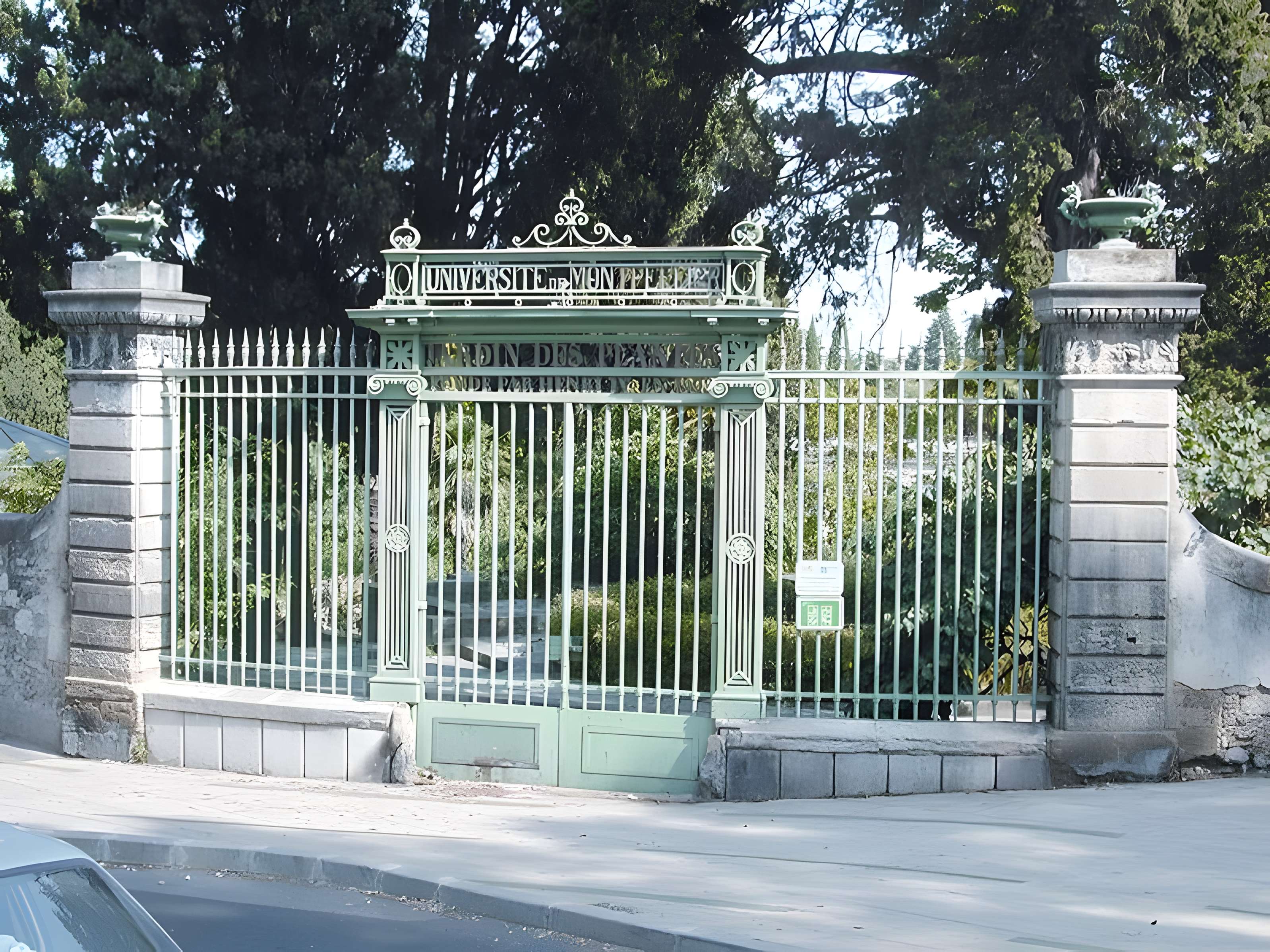 Jardin des plantes de Montpellier