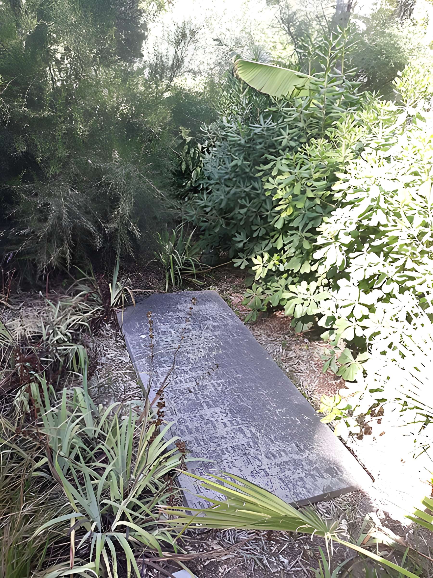 Jardin des plantes de Montpellier