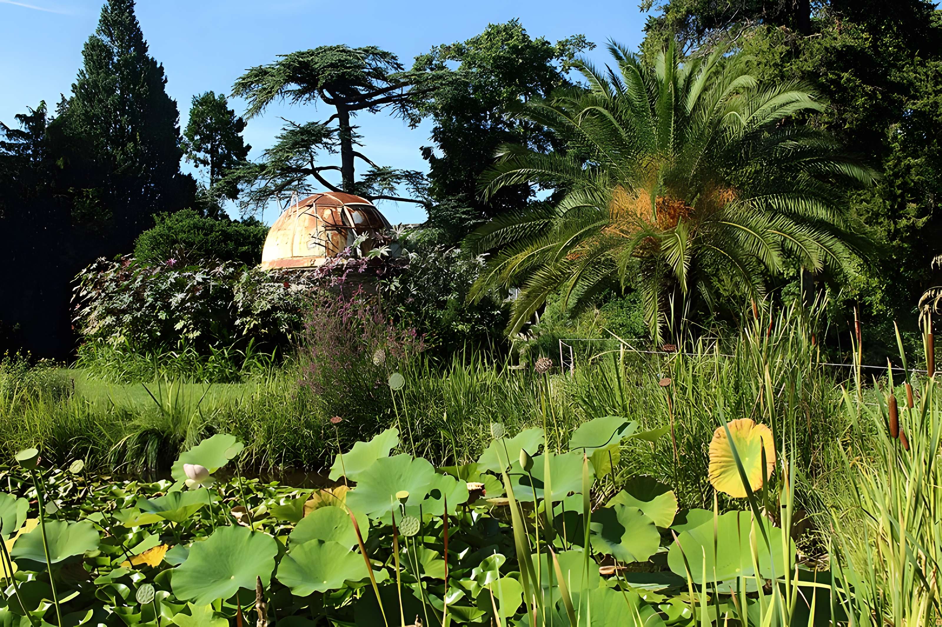 Jardin des plantes de Montpellier