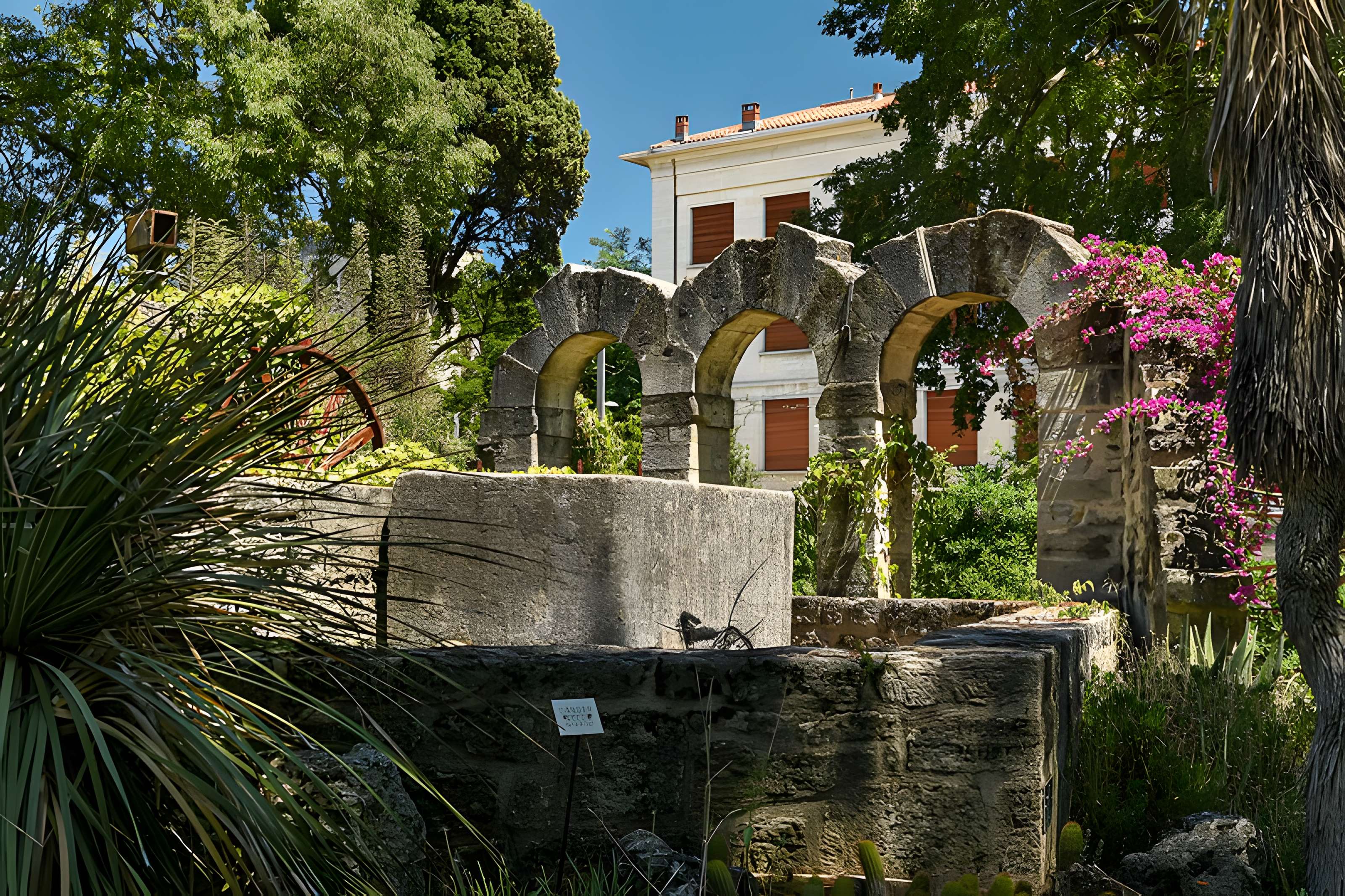 Jardin des plantes de Montpellier