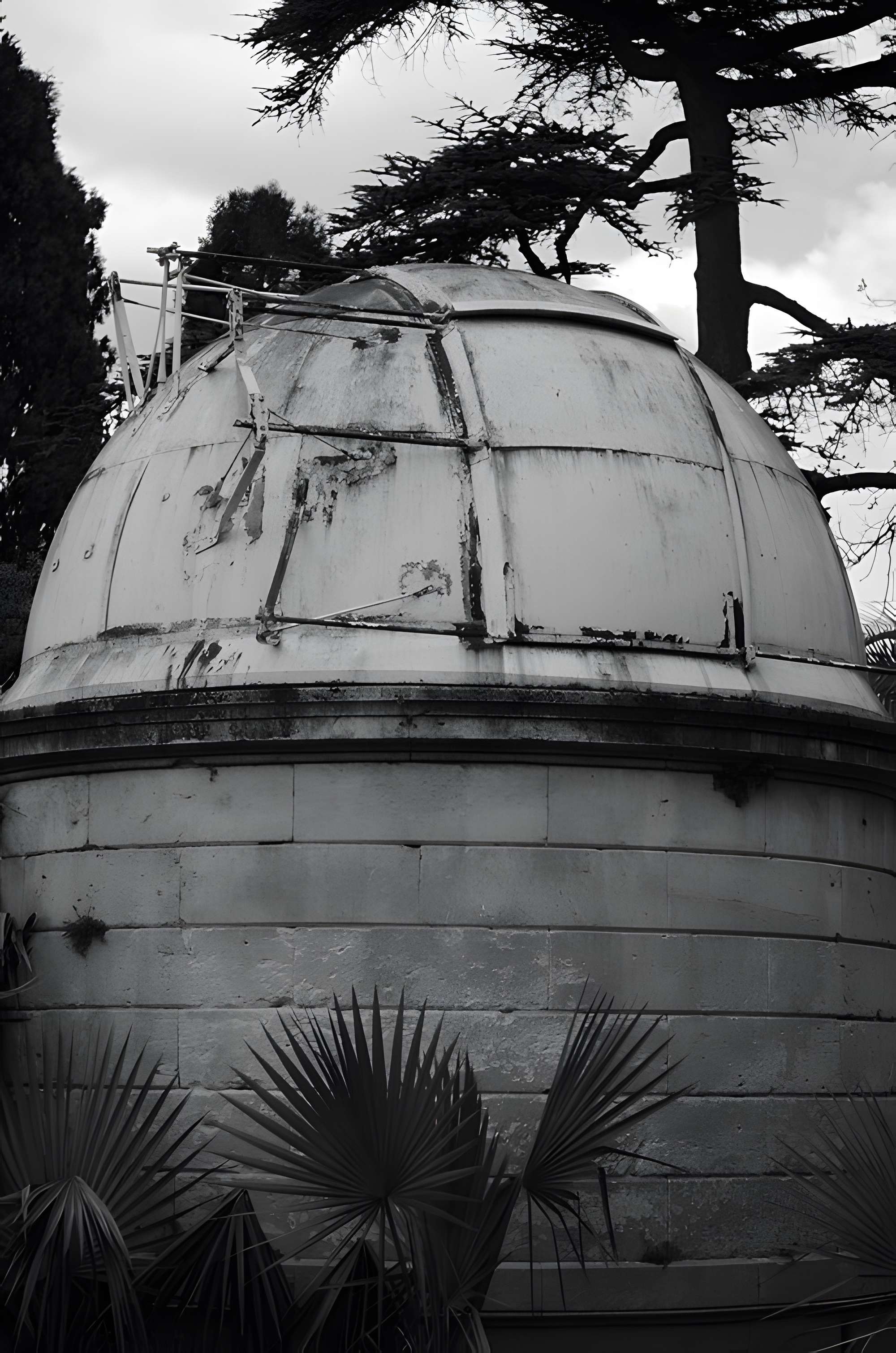 Jardin des plantes de Montpellier