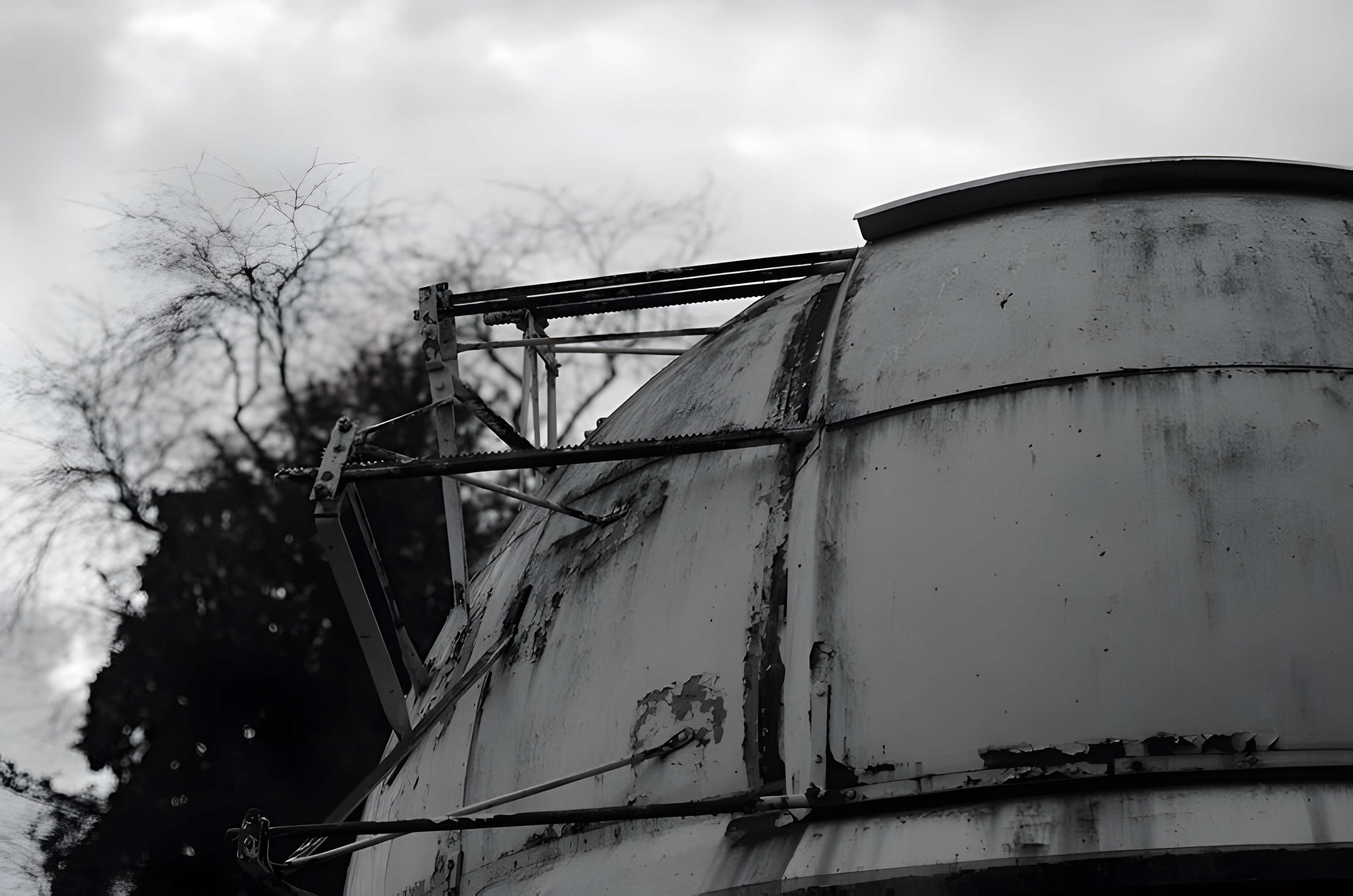 Jardin des plantes de Montpellier