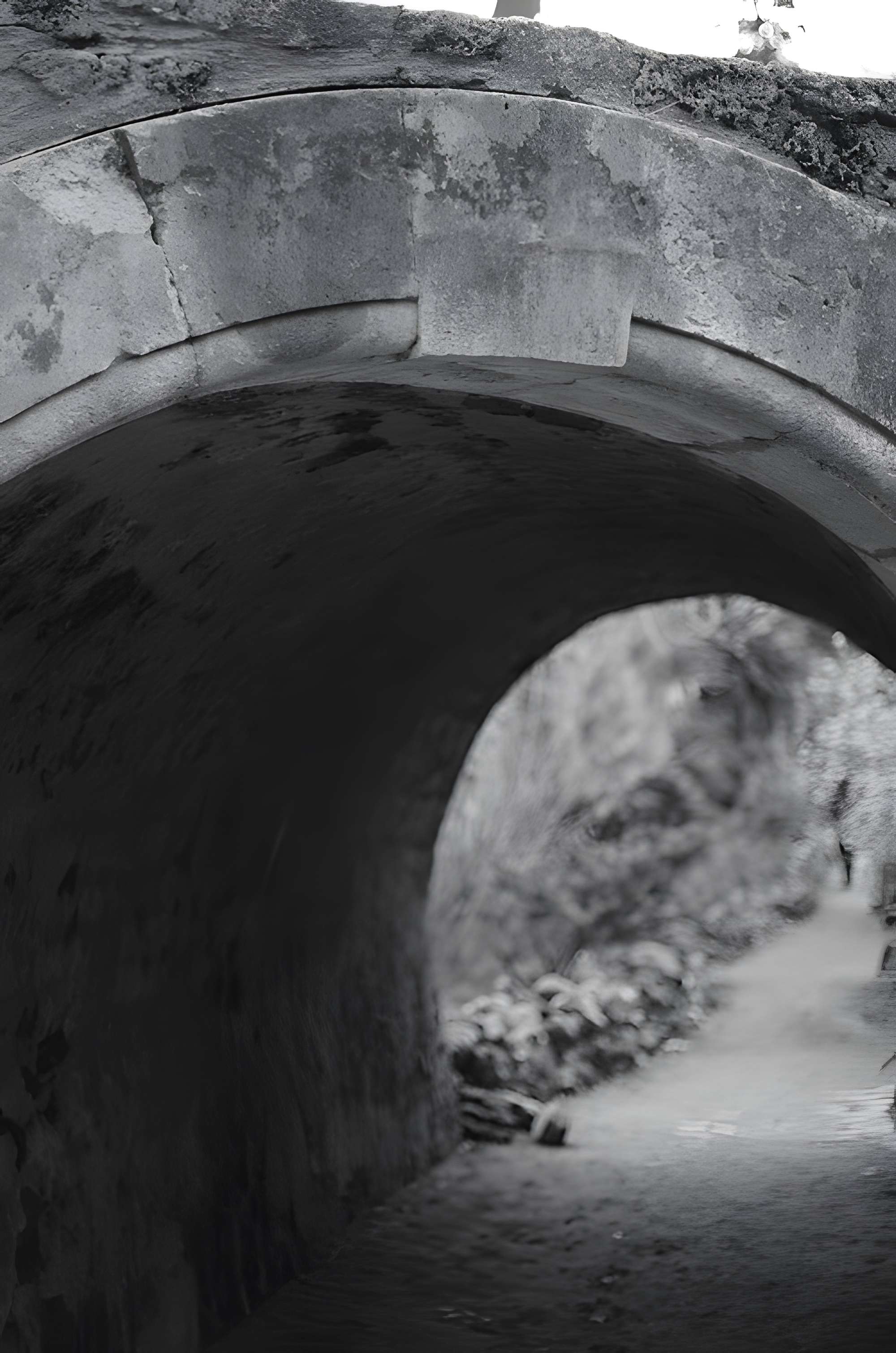 Jardin des plantes de Montpellier