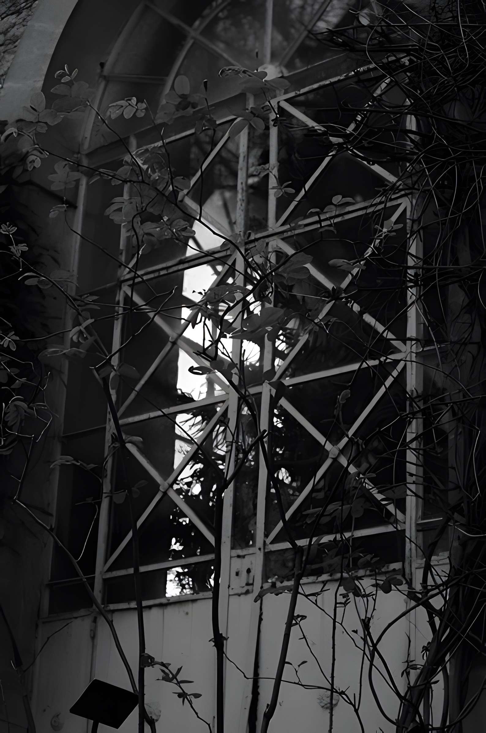 Jardin des plantes de Montpellier