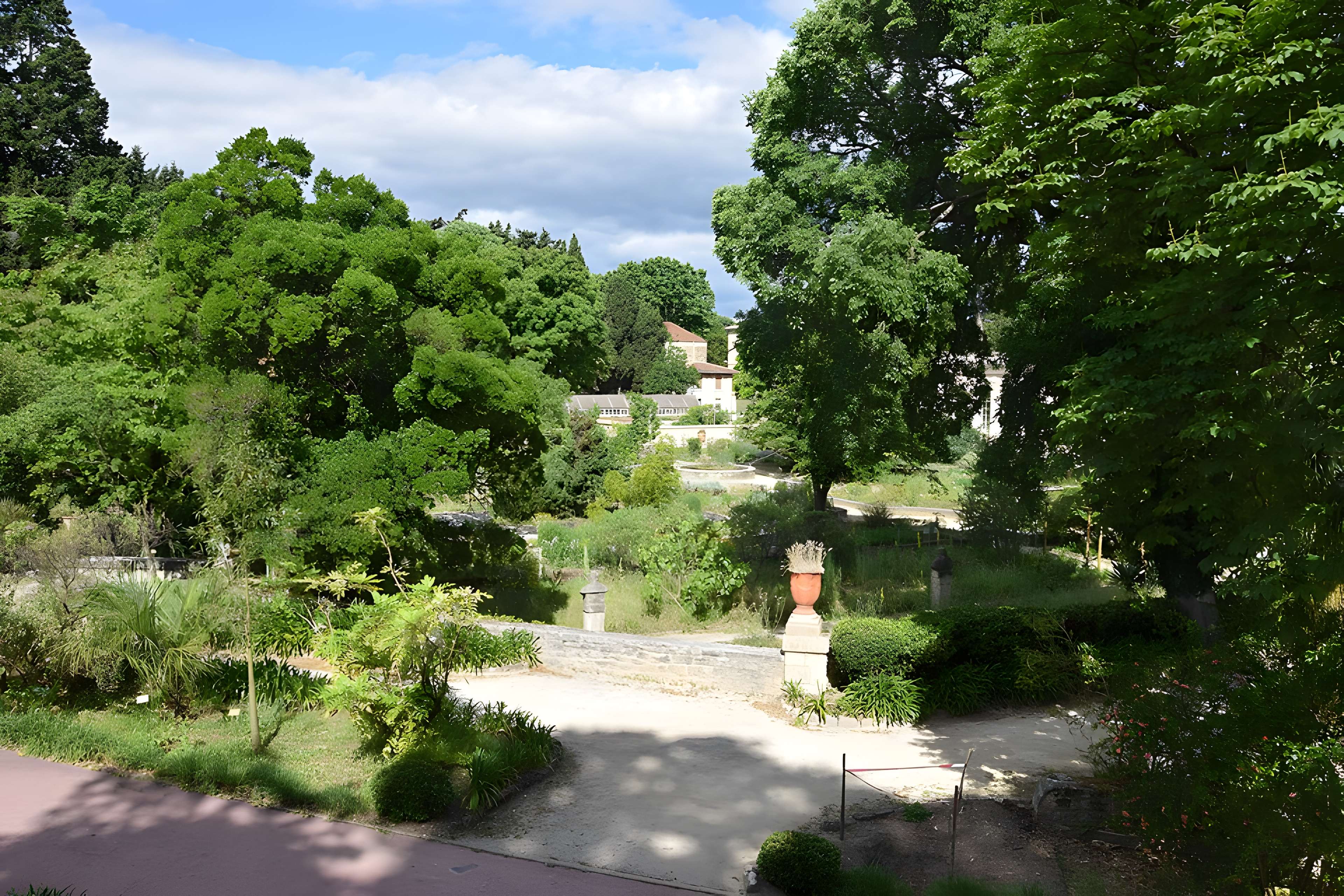 Jardin des plantes de Montpellier