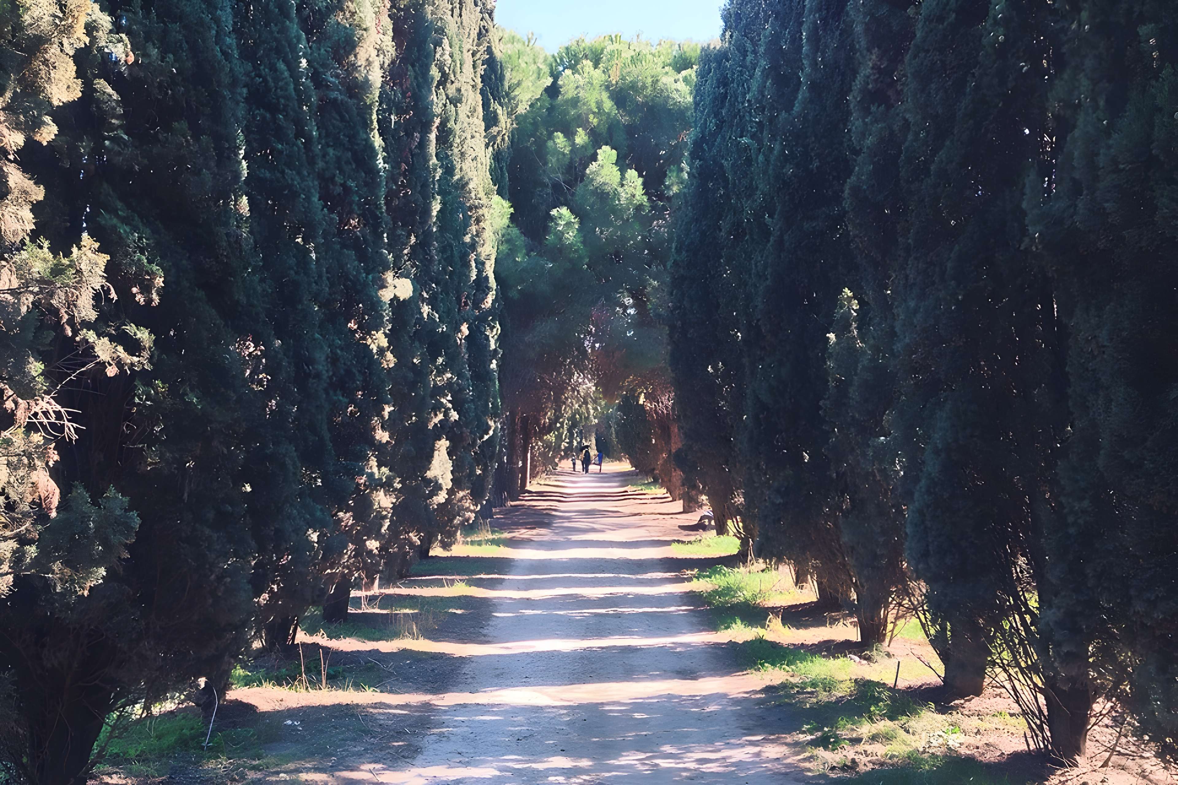 Jardin des plantes de Montpellier