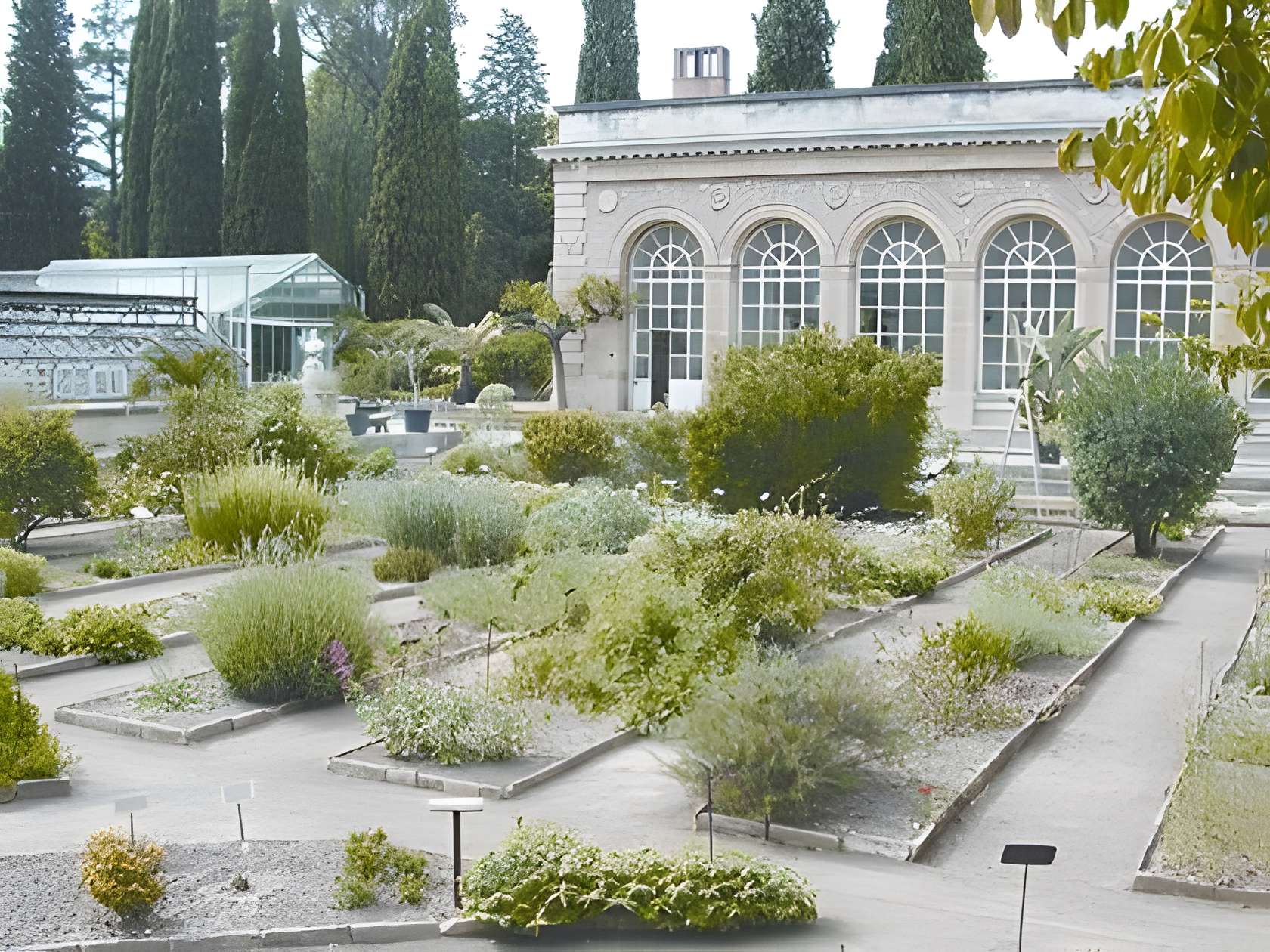Jardin des plantes de Montpellier 