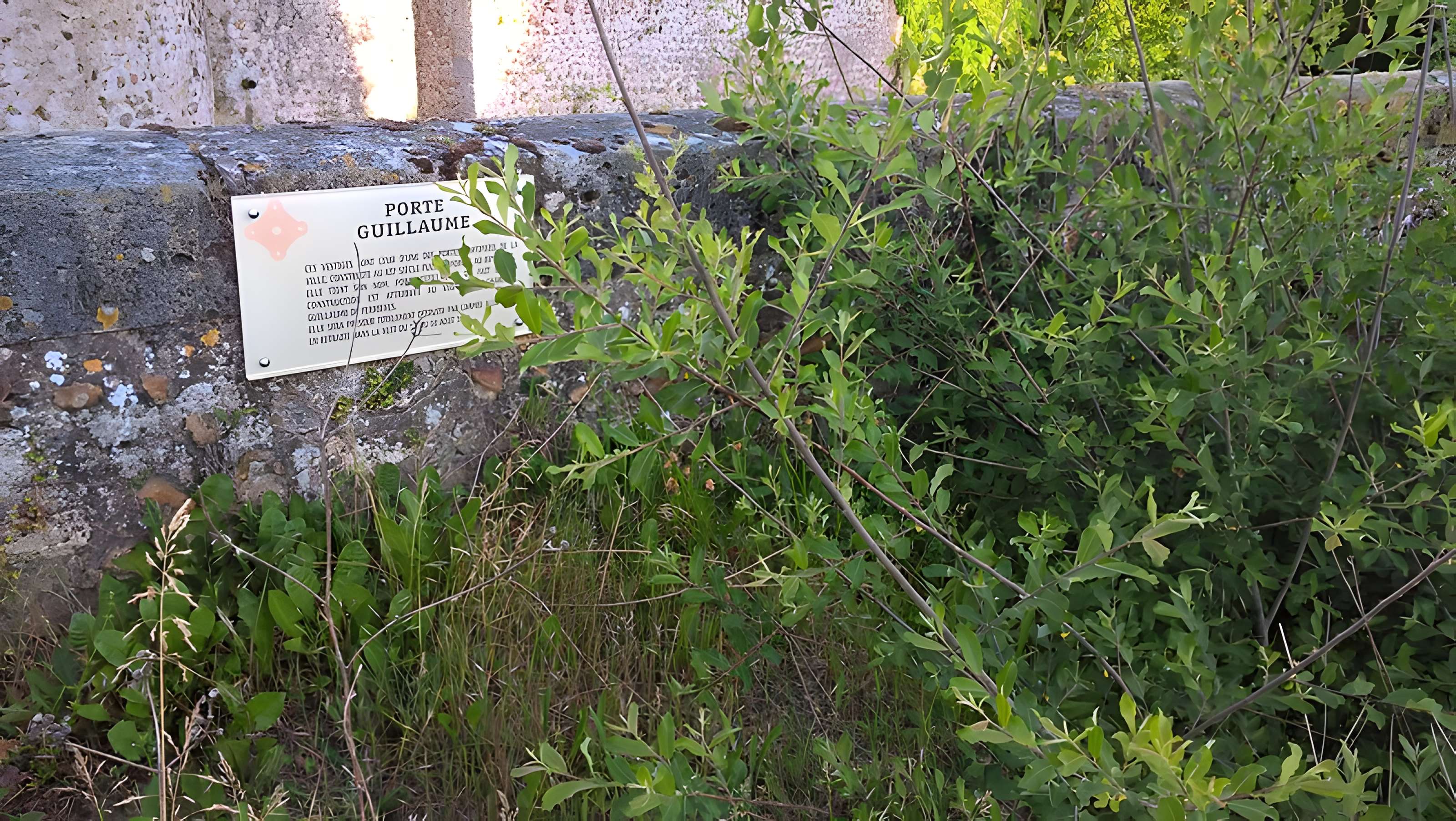 Porte Guillaume de Chartres