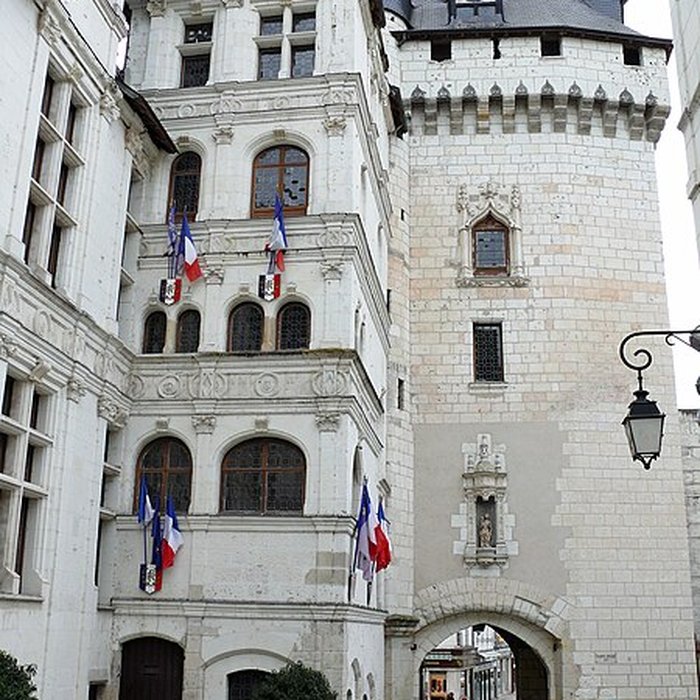 Photo de Porte Picoys de Loches