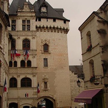 Porte Picoys de Loches