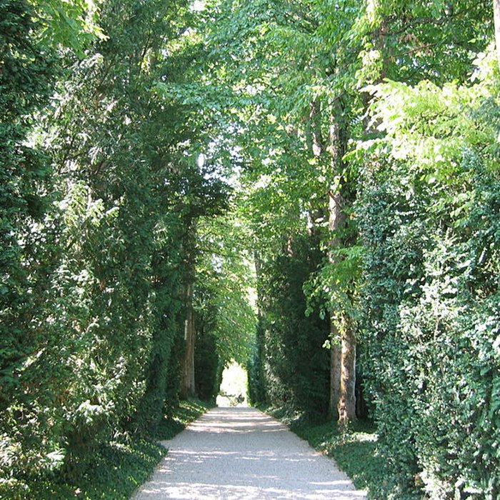 Photo de La Boisserie à Colombey-les-Deux-Églises