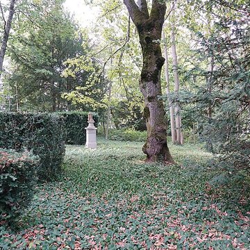La Boisserie à Colombey-les-Deux-Églises