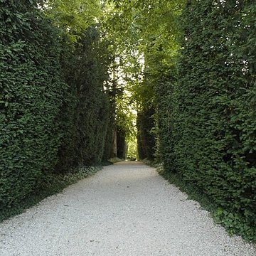 La Boisserie à Colombey-les-Deux-Églises