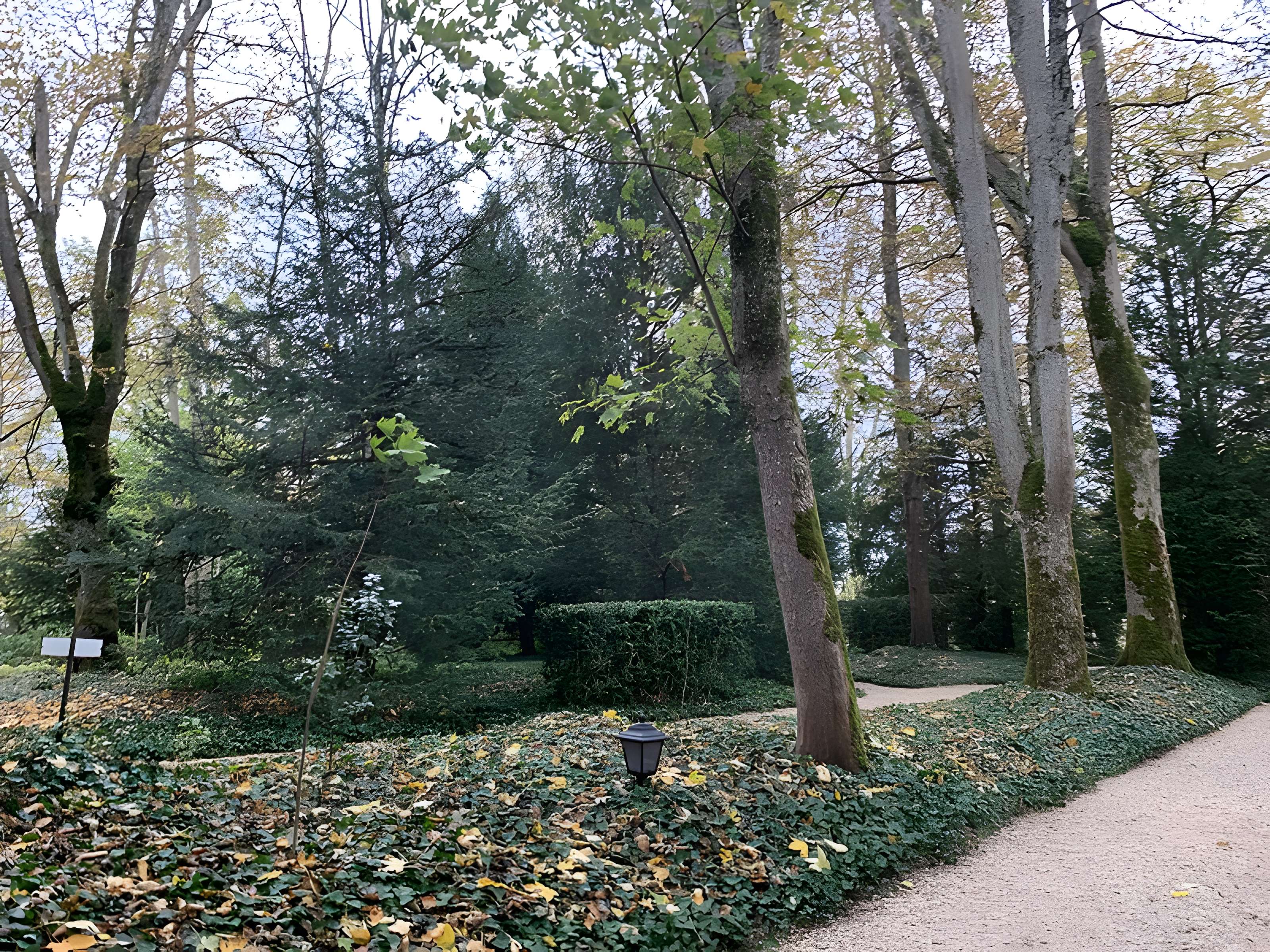 La Boisserie à Colombey-les-Deux-Églises