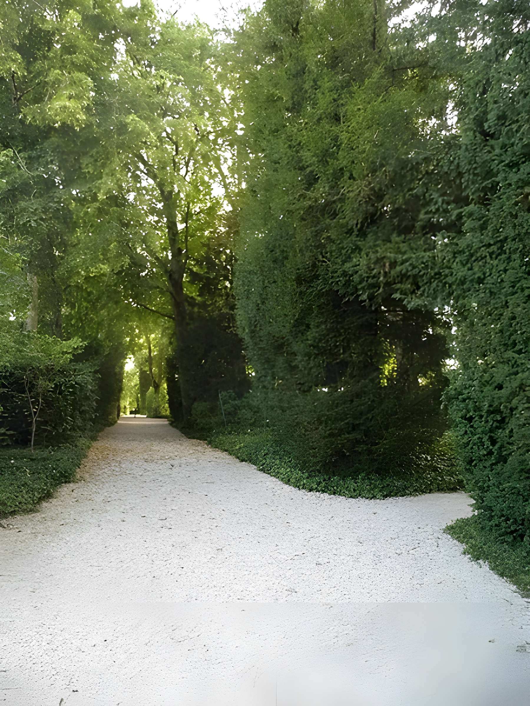 La Boisserie à Colombey-les-Deux-Églises
