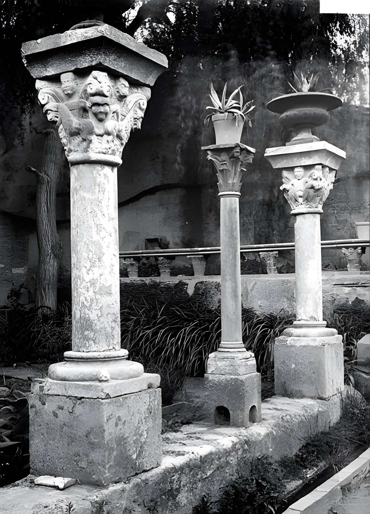 Abbatiale Saint-Sauveur d'Aniane