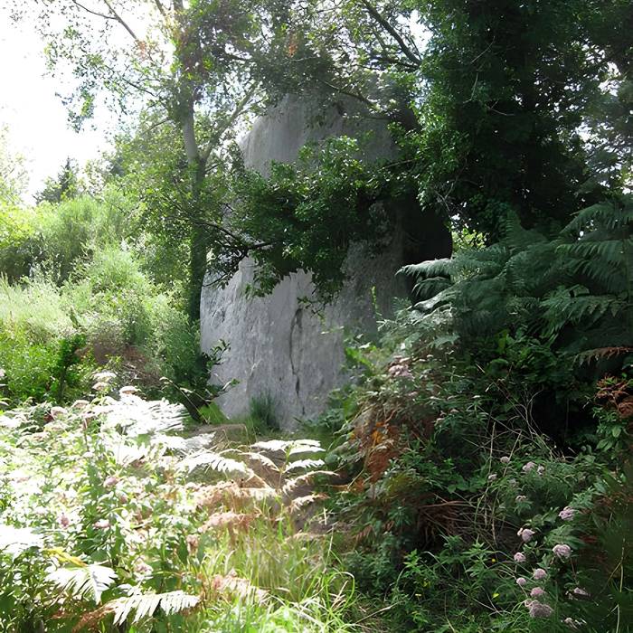 Photo de Premier menhir de Kerscaven à Penmarch