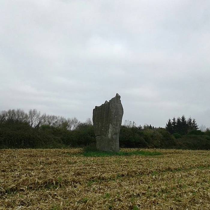 Photo de Premier menhir de Kerscaven à Penmarch