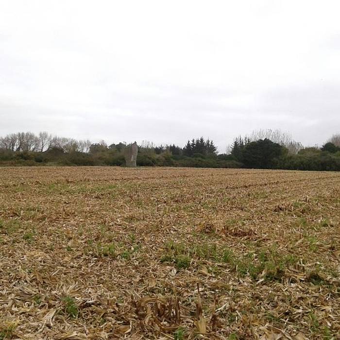 Photo de Premier menhir de Kerscaven à Penmarch