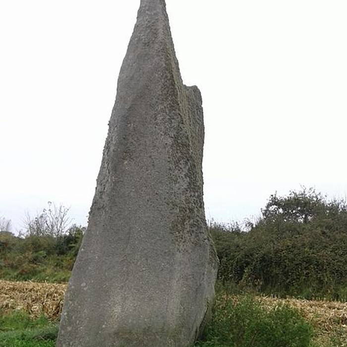 Photo de Premier menhir de Kerscaven à Penmarch