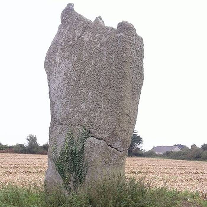 Photo de Premier menhir de Kerscaven à Penmarch