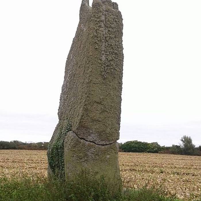Photo de Premier menhir de Kerscaven à Penmarch