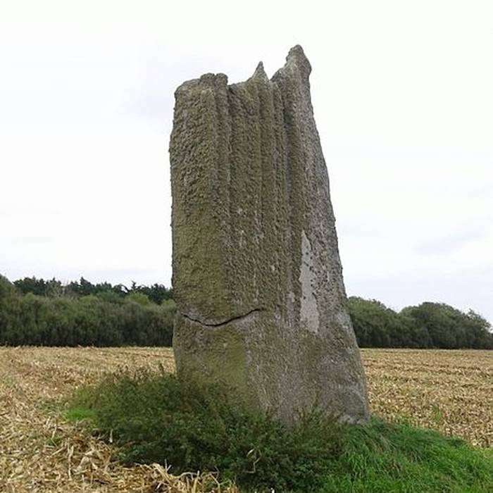 Photo de Premier menhir de Kerscaven à Penmarch
