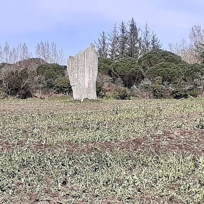 Photo de Premier menhir de Kerscaven à Penmarch