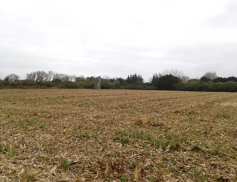 Premier menhir de Kerscaven à Penmarch