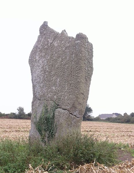 Premier menhir de Kerscaven à Penmarch