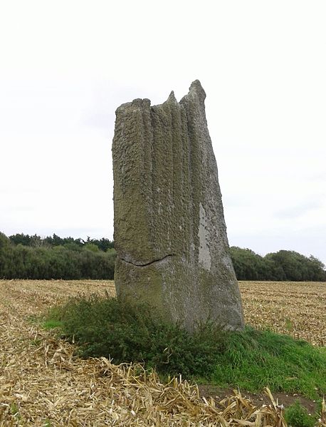 Premier menhir de Kerscaven à Penmarch