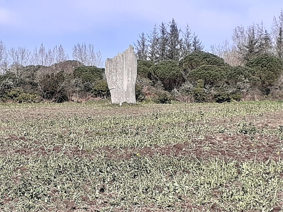 Premier menhir de Kerscaven à Penmarch