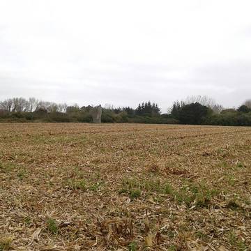 Premier menhir de Kerscaven à Penmarch