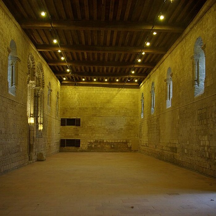 Photo de Ancien prieuré de Saint-Cosme