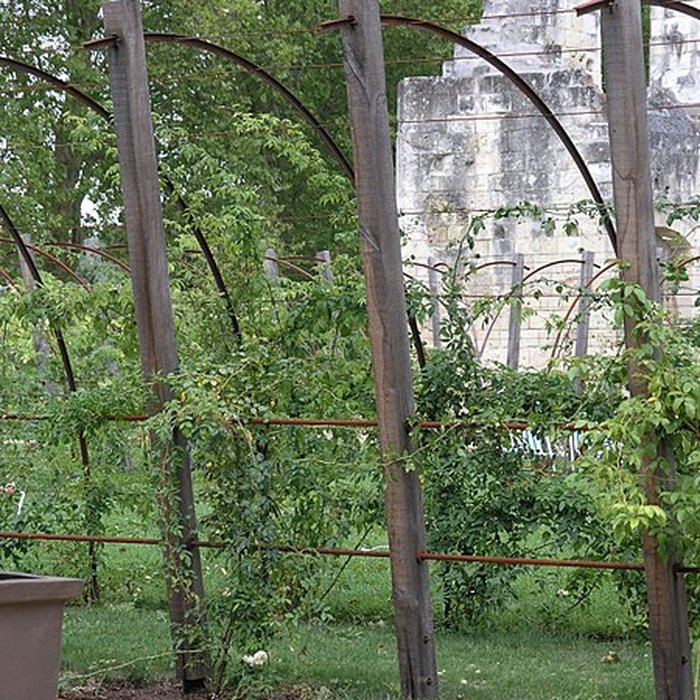 Photo de Ancien prieuré de Saint-Cosme