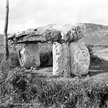 Dolmen dit de La Pierre Levée