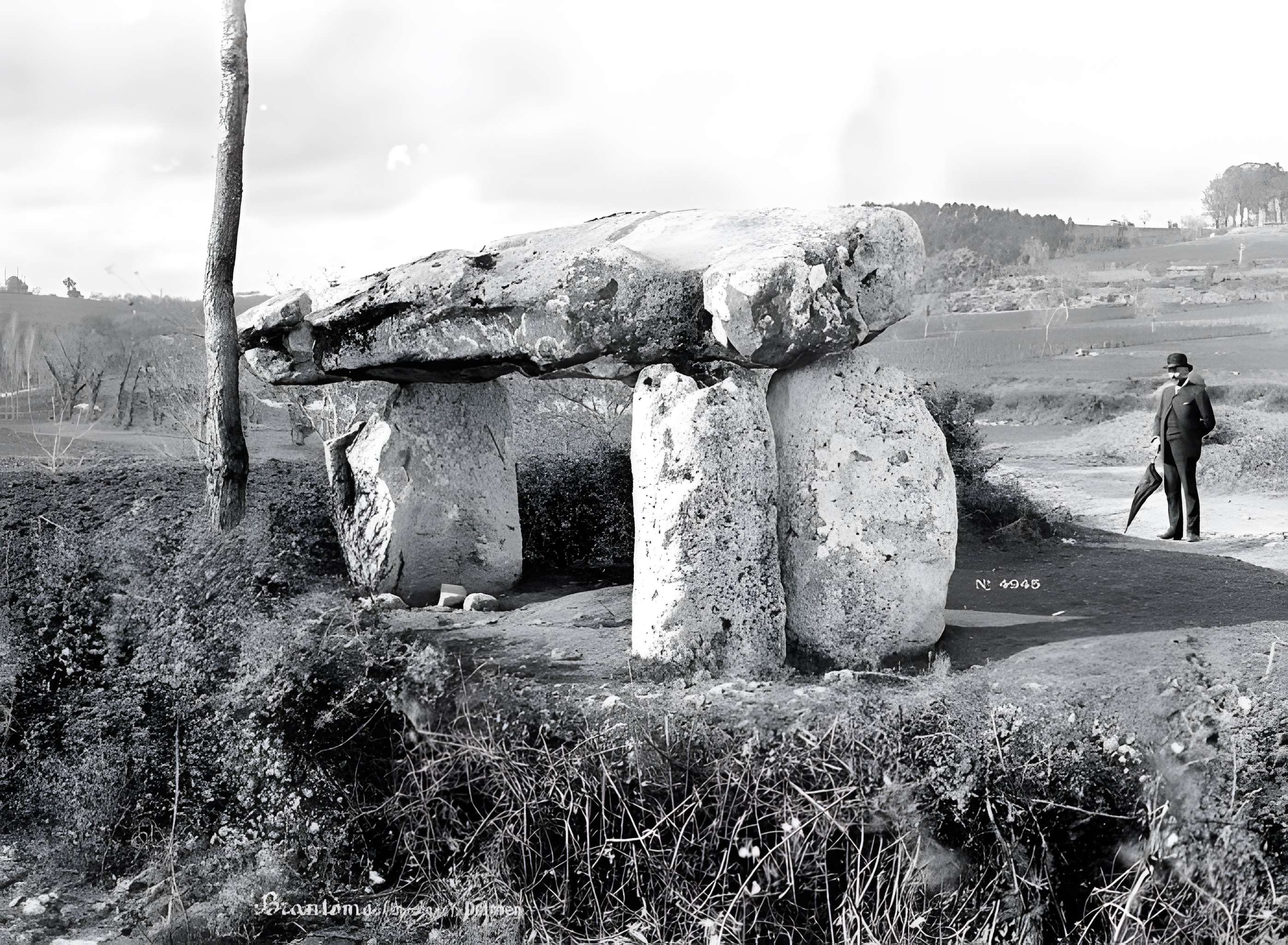 Dolmen dit de La Pierre Levée
