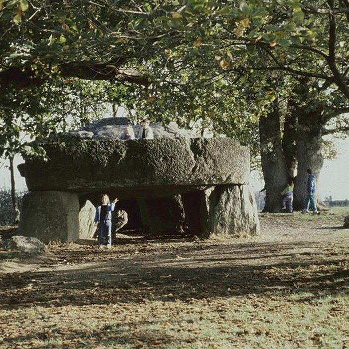 Photo de La Roche-aux-Fées dEssé