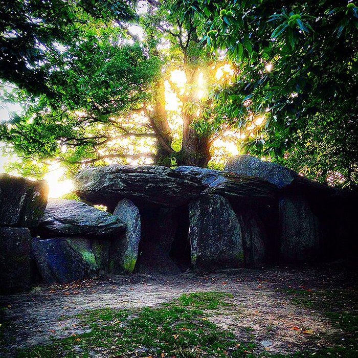 Photo de La Roche-aux-Fées dEssé